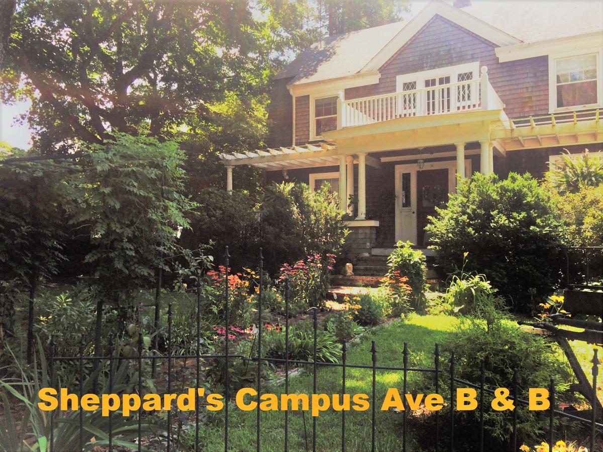 Sheppard'S Campus B&B Kingston Экстерьер фото